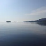 Aava Koli