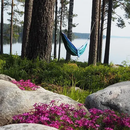 Aava Koli Huvilat Kolin kylä