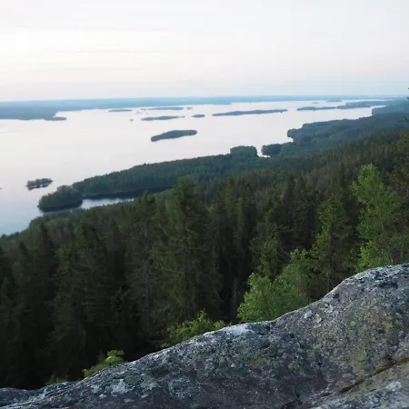 Aava Koli Huvilat Kolin kylä