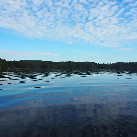 Aava Koli Huvilat Kolin kylä