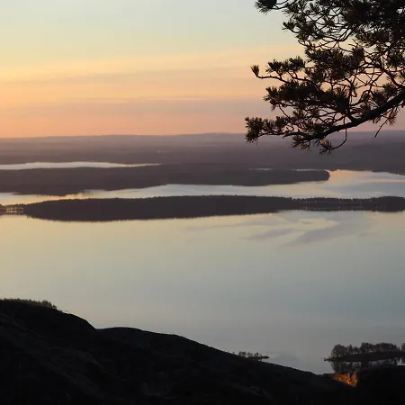 Aava Koli Kolin kylä