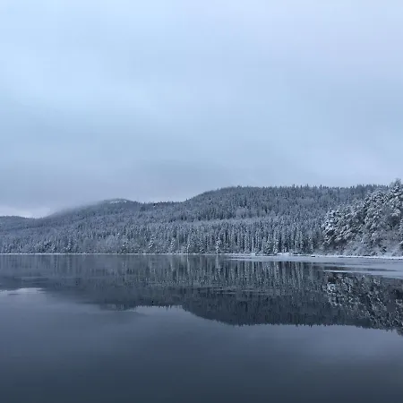 Aava Koli Huvilat Kolin kylä