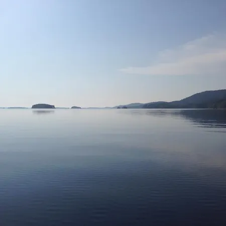 Aava Koli